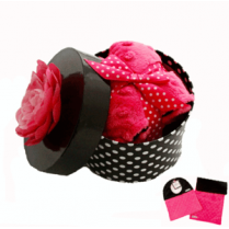 Rose Hat Box Minky Dot Baby Bib & Burp Cloth Gift Set